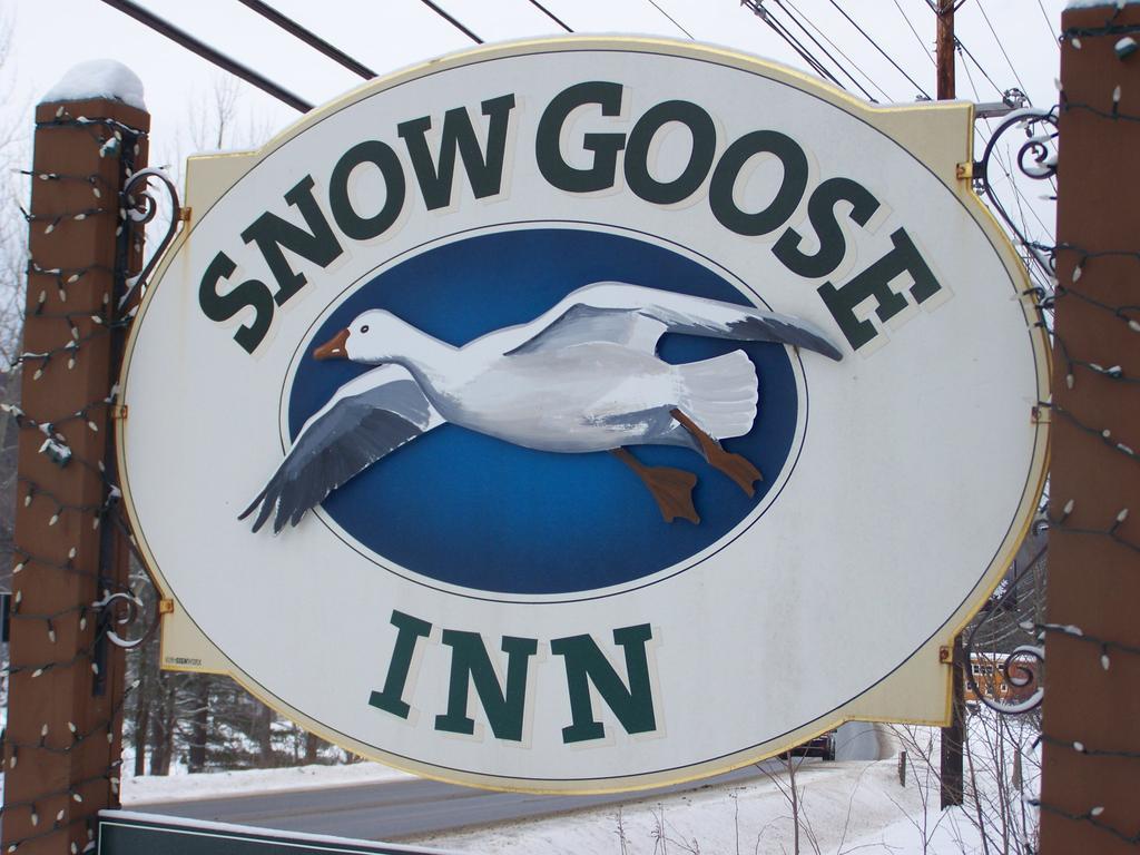 Snow Goose Inn Dover Zewnętrze zdjęcie